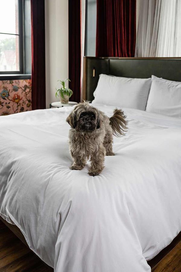 The Broadview Hotel Toronto Eksteriør billede